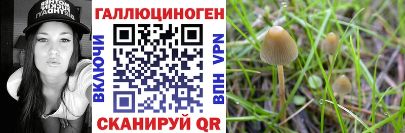 KRAKEN как войти  Железногорск-Илимский  сайты даркнета состав  Галлюциногенные грибы прущие грибы 